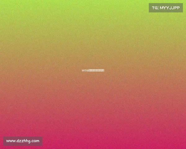 wma中国武术职业联赛比赛